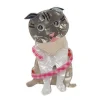 Erstwilder Adorable Opie Cat Brooch^ Brooches