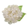 Erstwilder Heartfelt Hydrangea Brooch^ Brooches