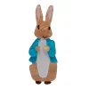 Erstwilder Peter Rabbit Brooch^ Brooches