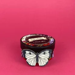Erstwilder Social Butterfly Brooch^ Brooches