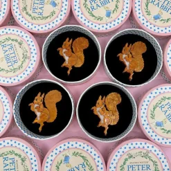 Erstwilder Squirrel Nutkin Brooch^ Brooches
